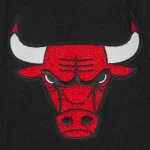 Chicago Bulls Script Tail Black Wool & Leather Varsity Jacket - Image 7